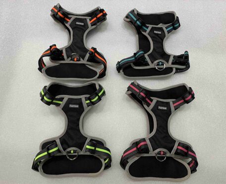 PET COLLAR&LEASH