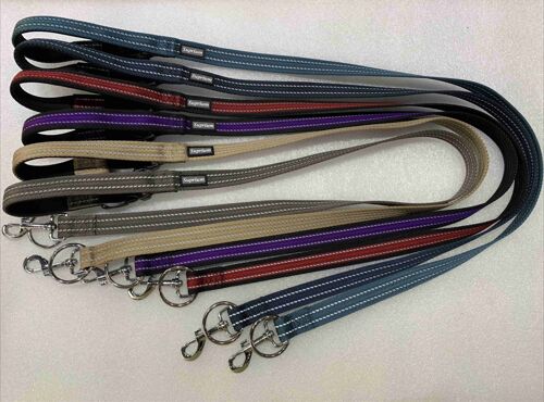 PET COLLAR&LEASH