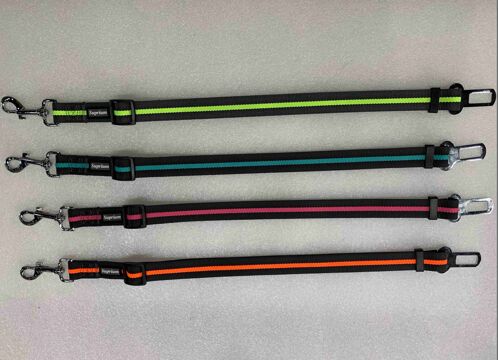 PET COLLAR&LEASH