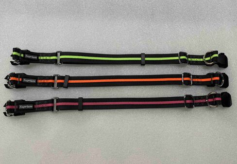 PET COLLAR&LEASH