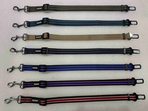 PET COLLAR&LEASH