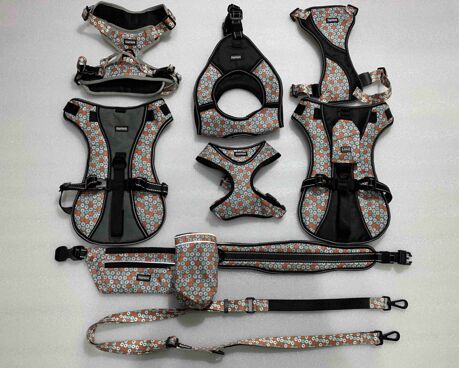 PET COLLAR&LEASH