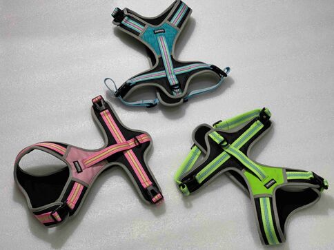 PET COLLAR&LEASH