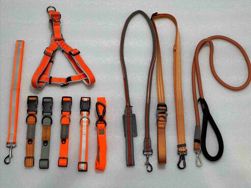 PET COLLAR&LEASH