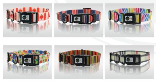 PVC PET COLLAR&LEASH
