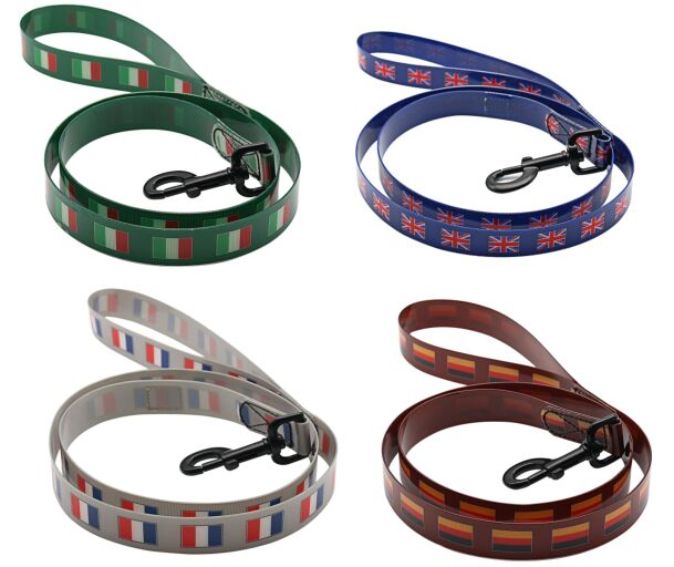 PVC PET COLLAR&LEASH