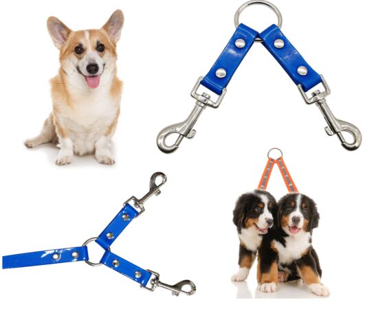 PVC PET COLLAR&LEASH