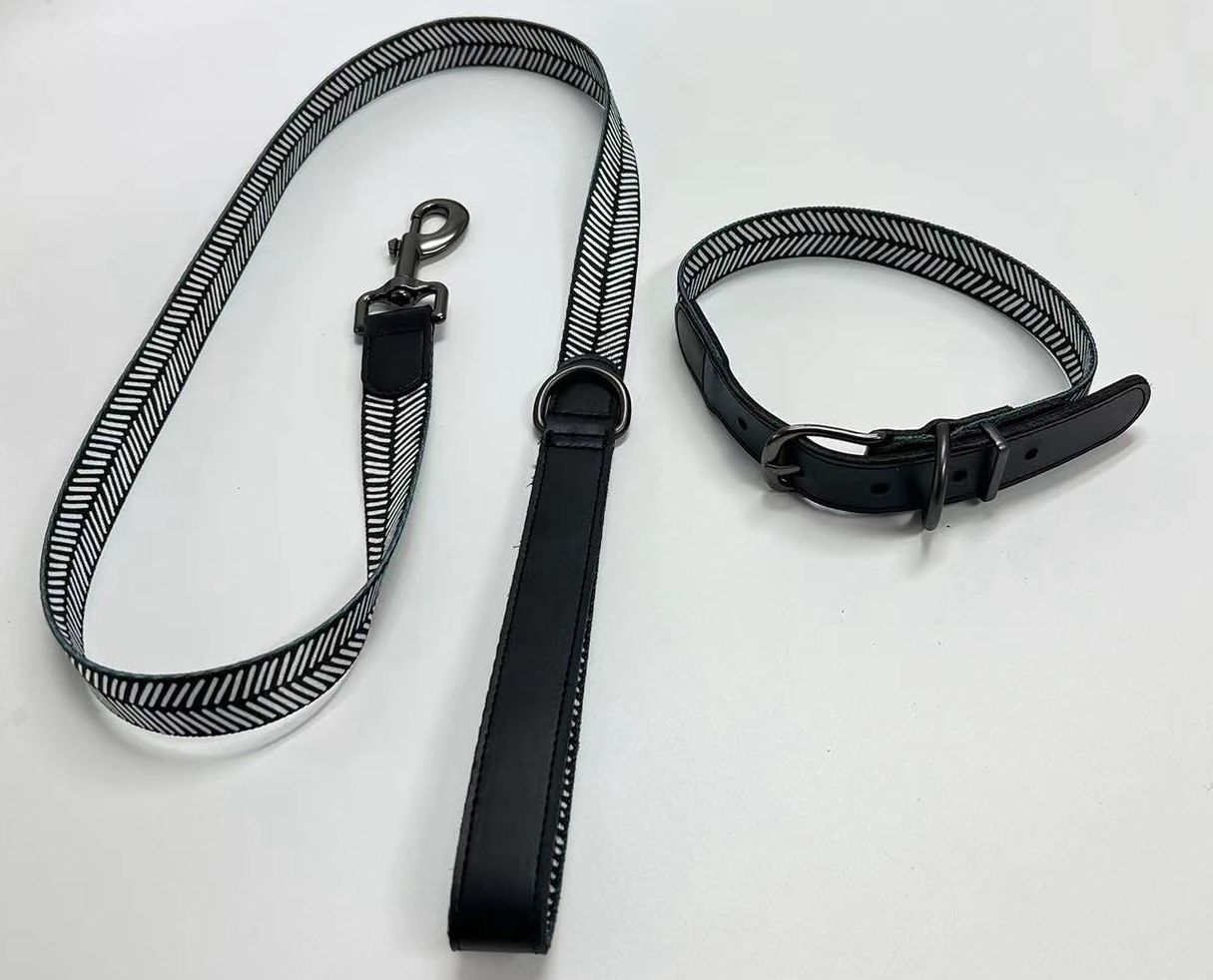 PET COLLAR&LEASH